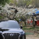 신내농장 이미지