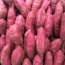 구황작물 이미지