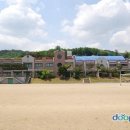 강원생약 이미지