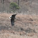 천막꼬리 이미지