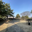 예산 김정희 종가유물 일괄(26점) | 수선화 향기 따라 걷는 길, 제주 유배지에서 만난 추사의 고독과 예술, 대정읍에서 만난 세한도의 정신...