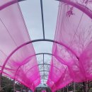 달미공원 이미지