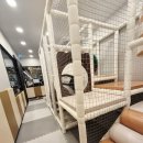 뷔페식당 | 청주 오송 키즈카페 있는 식당, 뷔페 고메스퀘어 후기