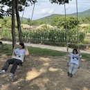 푸르내마을순이네민박 | [아산] 외암민속마을 병사댁 1박2일 촌캉스 숙소 후기 필수 준비물 총정리