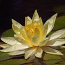 자연생한의원 이미지