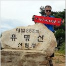 100대 명산 탐방, 요산회와 함께 유명산과 용문산 산행 이미지