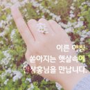 반짝이게 이미지