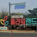 대구 모종 파는 곳ㅣ불로화훼단지 풍경원 방문기🌱