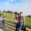 장정농장 이미지