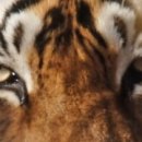 수락주짓수파라에스트라 서울 이미지