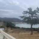 통영 독채 펜션 | 조용하고 안락했던 통영 1박 2일 가격도 착한 스테이 수월 내돈내잠!