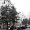 신갈마로-1 이미지