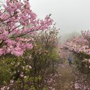 악천후 속에서도 굳건한 한솔산악회 이미지