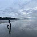 12/03/2025 mocrock clam digging 사진. 이미지