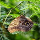 자연관찰 탐구활동 이미지