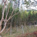 한신카클리닉 이미지