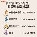 스텝박스 이미지