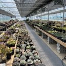 장태산 농장 이미지