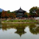 은행나무로(송현동) 이미지