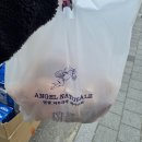 엔젤라투라레 | 맨날 놀아서 일기 쓸 거리가 많아요