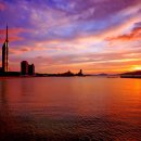 타워스프트 이미지