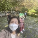 전원떡집 이미지
