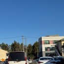 화순로 | 제주 성게보말국 맛집 &#39;중앙식당&#39; 내돈내산 추천 후기 📍