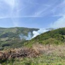 김삿갓면-13 이미지