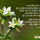 꽃담화원