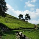 하늘마루염소목장 이미지