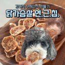 감북로 | [강아지 수제간식 만들기] 닭가슴살 연근칩 레시피 공유 (영혼이 가출한 맛)