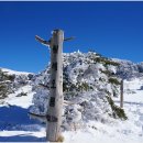 한라산 선작지왓 이미지