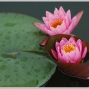 유정웨딩홀 이미지