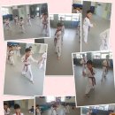 별나무태권도 이미지