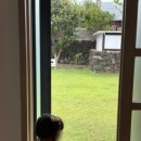 달고나민박 이미지