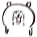 지누약국 이미지