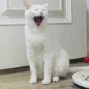 말랑말랑 이미지