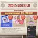 메이플투어 이미지