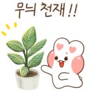 로이로스터스(LOYH ROASTERS)