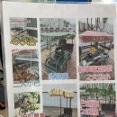 기아 BIKE | 요즘같은 날씨에 홍콩을 즐기는 이색적인 방법, 자전거 타기[사틴-타이포], 아이와 자전거