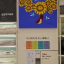 이브자리코디센평택대점