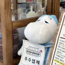 뭄카폐