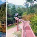 솔향공원 소나무전시관 이미지