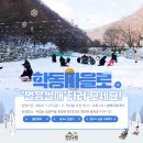 씨없는곶감마을 이미지