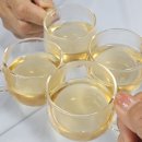치유의 숲 이미지