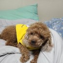 뭘봐PC방 이미지