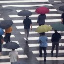 필경희 한의원 이미지