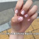 네일윤윤
