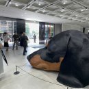 노웨어하우스 이미지