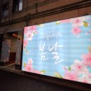 건대사시미 | 건대입구 이자카야 봄날, 3.5kg 대광어 사시미 전문 건대맛집 후기